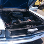 Mustang V8 D-code