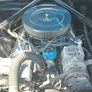 Mustang V8 D-code
